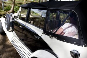 diana lee wedding 52 sm.jpg